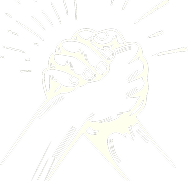 comrade